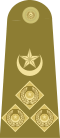 Brigadier Insignia
