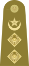 Colonel Insignia