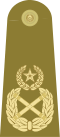 Field Marshal Insignia