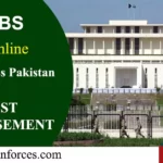 IB Jobs