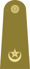 Major Insignia