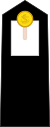 Midshipman Insignia