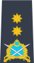 Air Vice Marshal