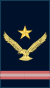 Assistant Warrant Officer