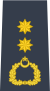 Group Captain