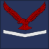 Junior Technician