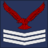 Senior Technician