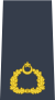 Squadron Leader