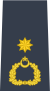 Wing Commander