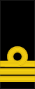 Commander Insignia