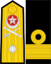 Commodore Insignia