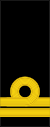 Lieutenant Insignia